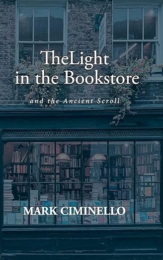 the light in the bookstore (front cover)