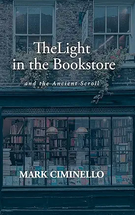 the light in the bookstore (front cover)